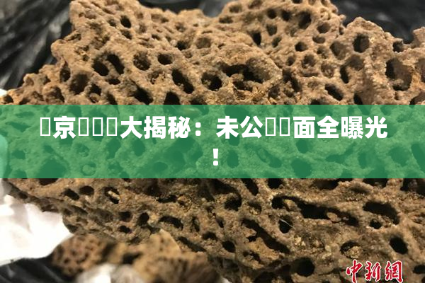 東京熱無碼大揭秘：未公開畫面全曝光！