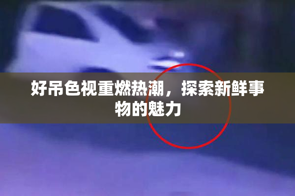 好吊色视重燃热潮，探索新鲜事物的魅力