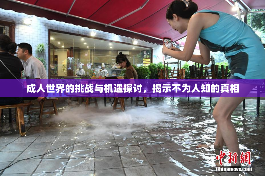 成人世界的挑战与机遇探讨，揭示不为人知的真相