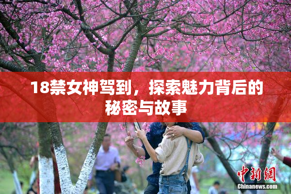 18禁女神驾到，探索魅力背后的秘密与故事