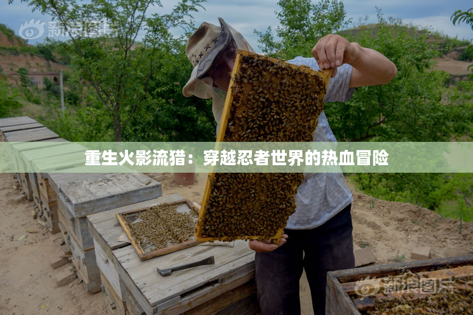 重生火影流猎：穿越忍者世界的热血冒险