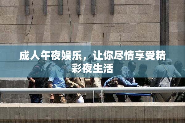 成人午夜娱乐，让你尽情享受精彩夜生活