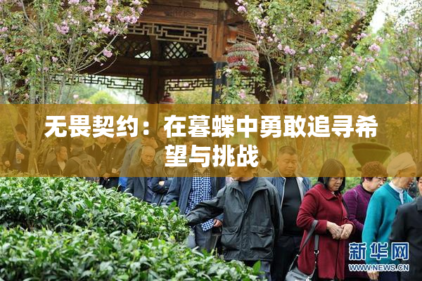 无畏契约：在暮蝶中勇敢追寻希望与挑战