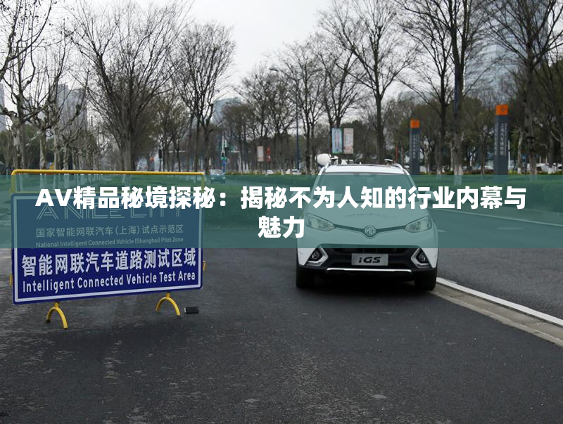 AV精品秘境探秘：揭秘不为人知的行业内幕与魅力