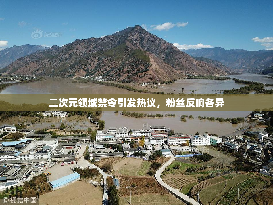 二次元领域禁令引发热议，粉丝反响各异