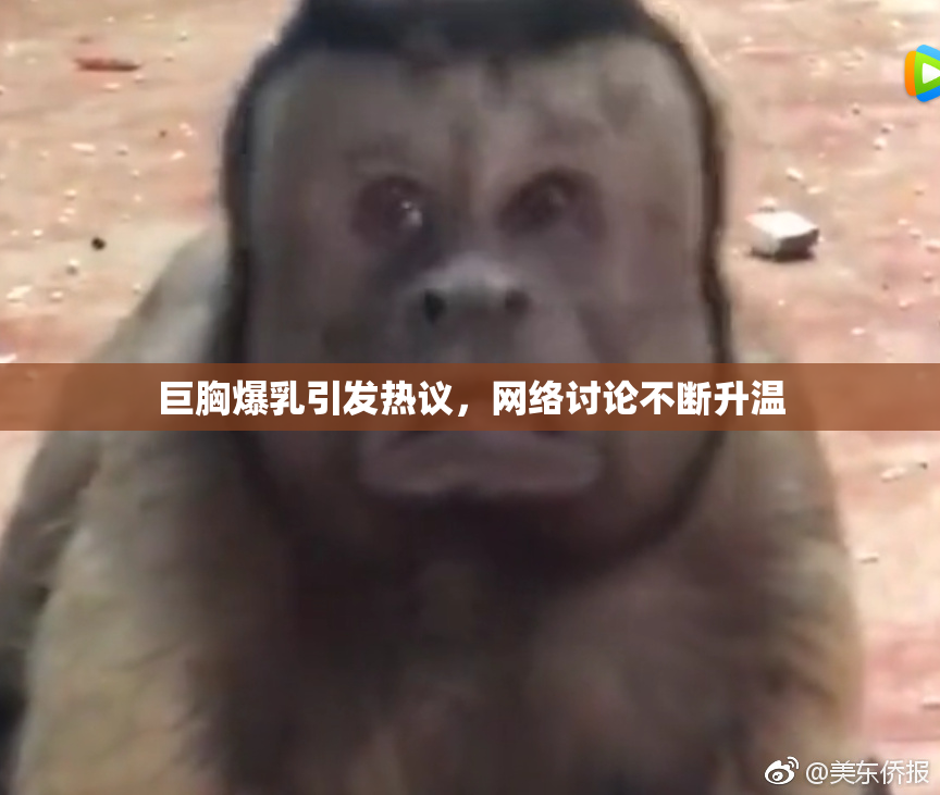 巨胸爆乳引发热议，网络讨论不断升温