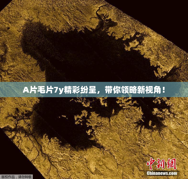 A片毛片7y精彩纷呈，带你领略新视角！