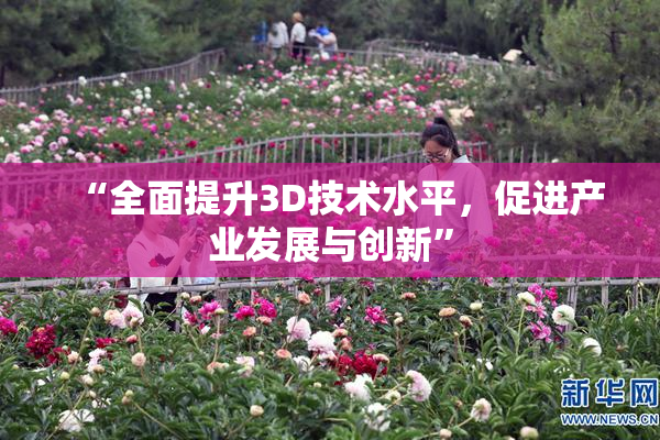 “全面提升3D技术水平，促进产业发展与创新”