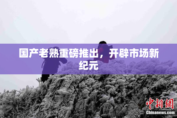 国产老熟重磅推出，开辟市场新纪元