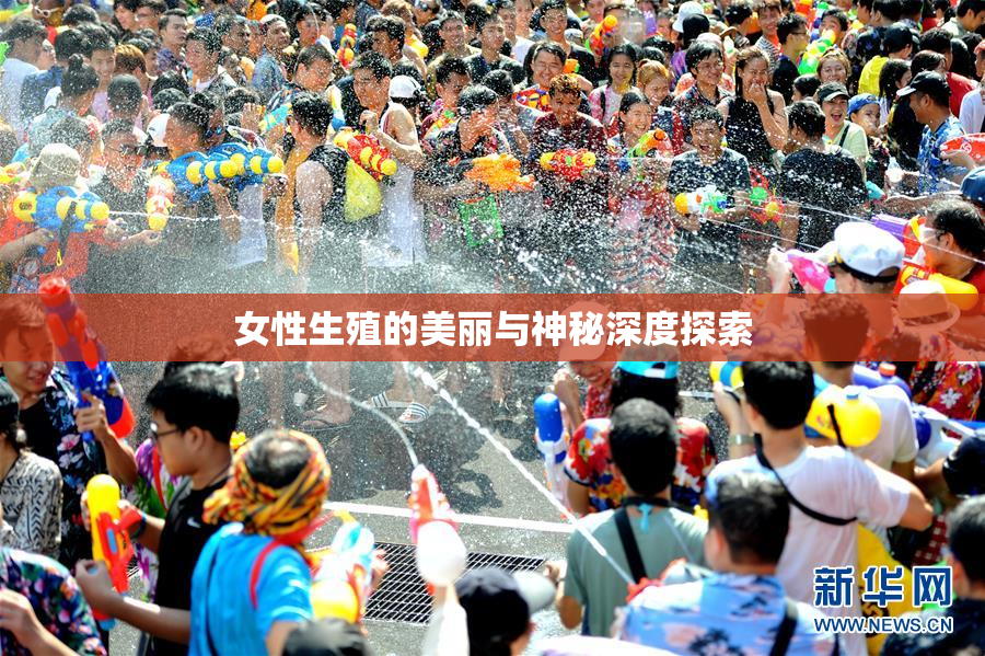 女性生殖的美丽与神秘深度探索