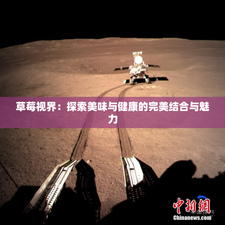 草莓视界：探索美味与健康的完美结合与魅力