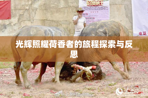 光辉照耀荷香者的旅程探索与反思