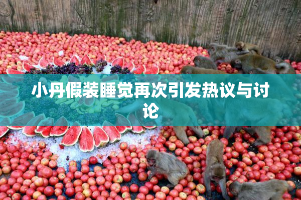 小丹假装睡觉再次引发热议与讨论