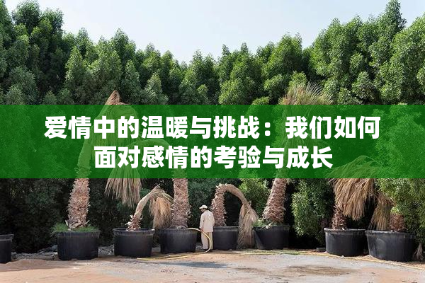 爱情中的温暖与挑战：我们如何面对感情的考验与成长