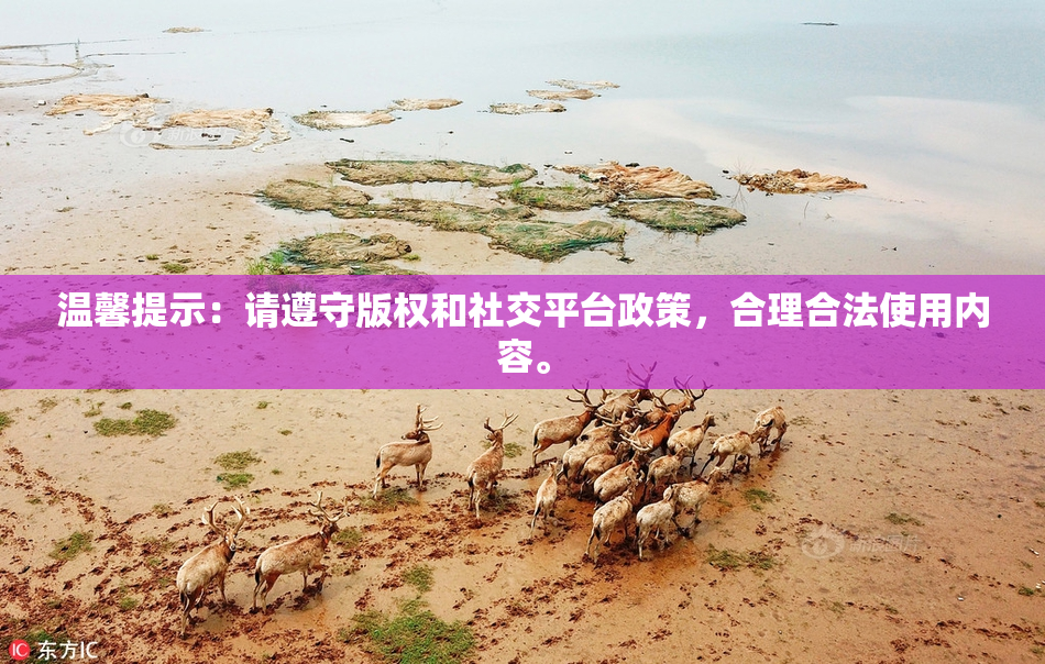温馨提示：请遵守版权和社交平台政策，合理合法使用内容。