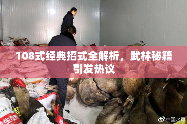 108式经典招式全解析，武林秘籍引发热议