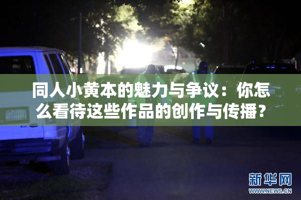 同人小黄本的魅力与争议：你怎么看待这些作品的创作与传播？