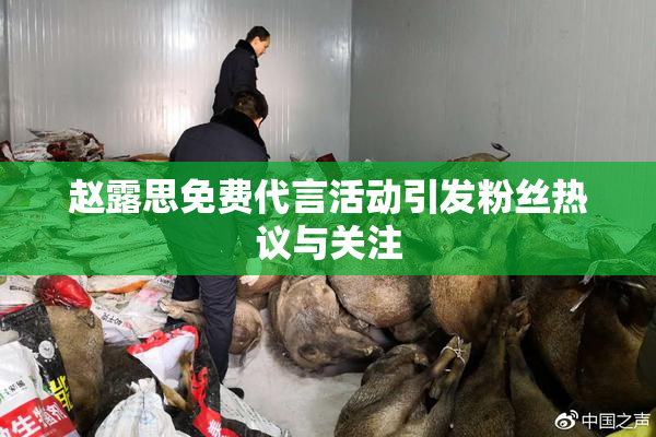 赵露思免费代言活动引发粉丝热议与关注