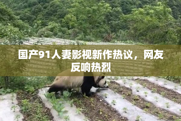 国产91人妻影视新作热议，网友反响热烈