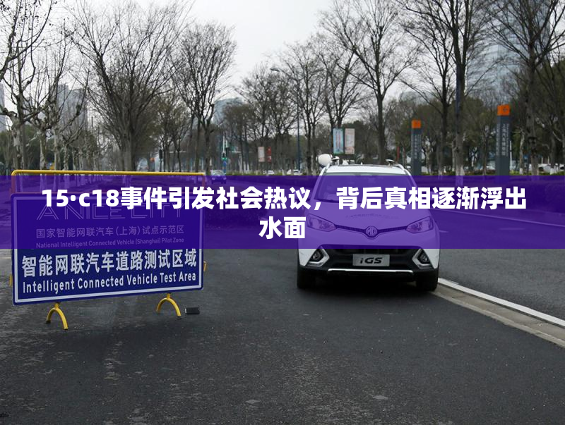15·c18事件引发社会热议，背后真相逐渐浮出水面