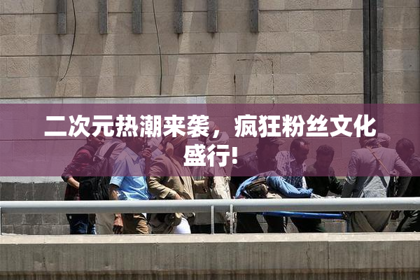 二次元热潮来袭，疯狂粉丝文化盛行!