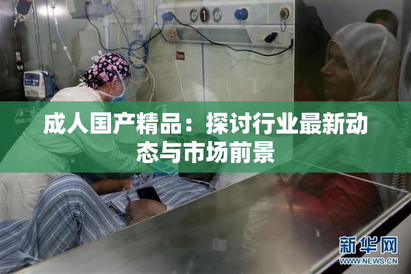成人国产精品：探讨行业最新动态与市场前景