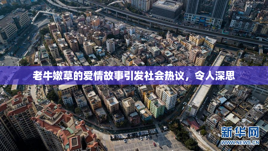 老牛嫩草的爱情故事引发社会热议，令人深思