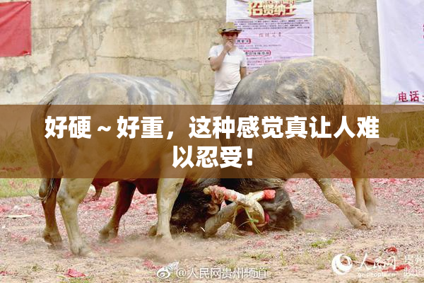 好硬～好重，这种感觉真让人难以忍受！