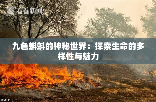 九色蝌蚪的神秘世界：探索生命的多样性与魅力