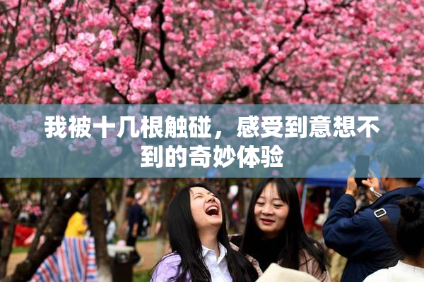 我被十几根触碰，感受到意想不到的奇妙体验