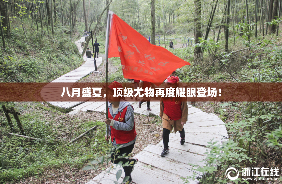 八月盛夏，顶级尤物再度耀眼登场！