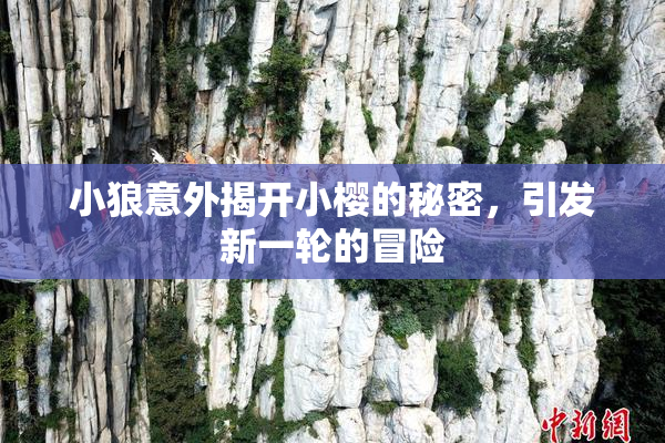 小狼意外揭开小樱的秘密，引发新一轮的冒险