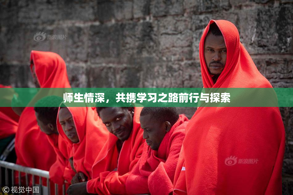 师生情深，共携学习之路前行与探索