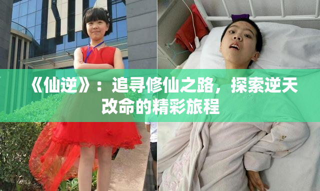 《仙逆》：追寻修仙之路，探索逆天改命的精彩旅程