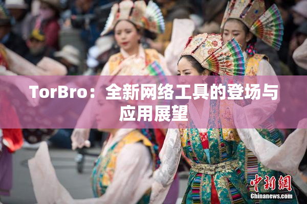 TorBro：全新网络工具的登场与应用展望