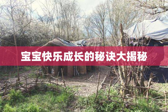 宝宝快乐成长的秘诀大揭秘
