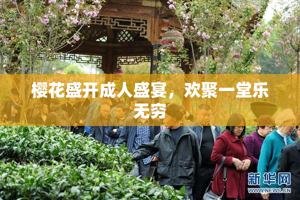 樱花盛开成人盛宴，欢聚一堂乐无穷