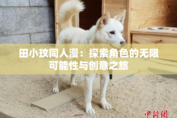 田小玟同人漫：探索角色的无限可能性与创意之旅