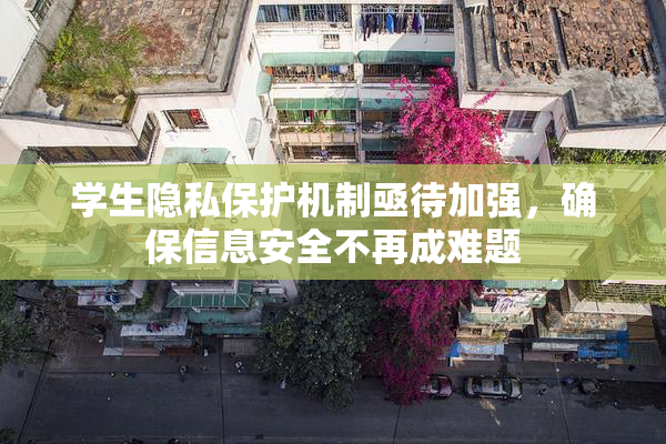 学生隐私保护机制亟待加强，确保信息安全不再成难题