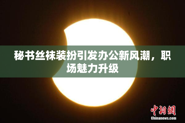 秘书丝袜装扮引发办公新风潮，职场魅力升级
