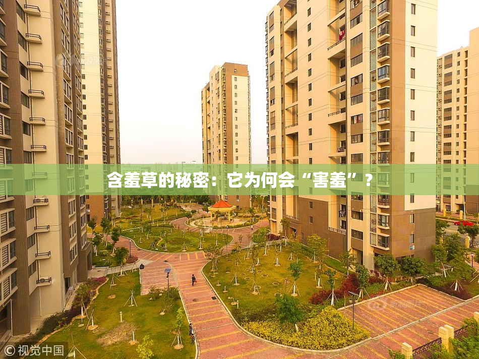 含羞草的秘密：它为何会“害羞”？