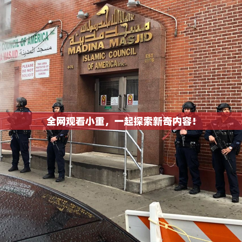 全网观看小重，一起探索新奇内容！