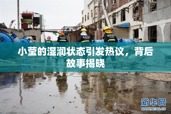小莹的湿润状态引发热议，背后故事揭晓