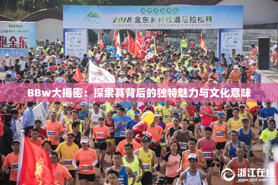 BBw大揭密：探索其背后的独特魅力与文化意味