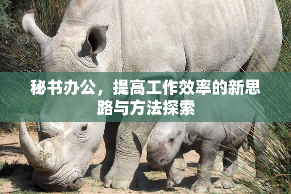 秘书办公，提高工作效率的新思路与方法探索