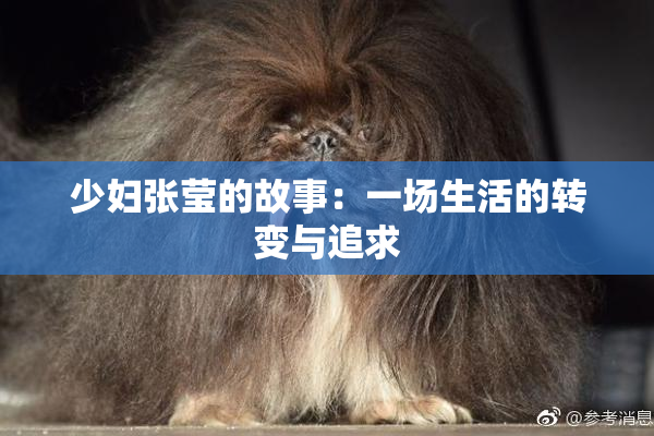 少妇张莹的故事：一场生活的转变与追求