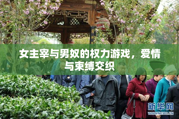 女主宰与男奴的权力游戏，爱情与束缚交织