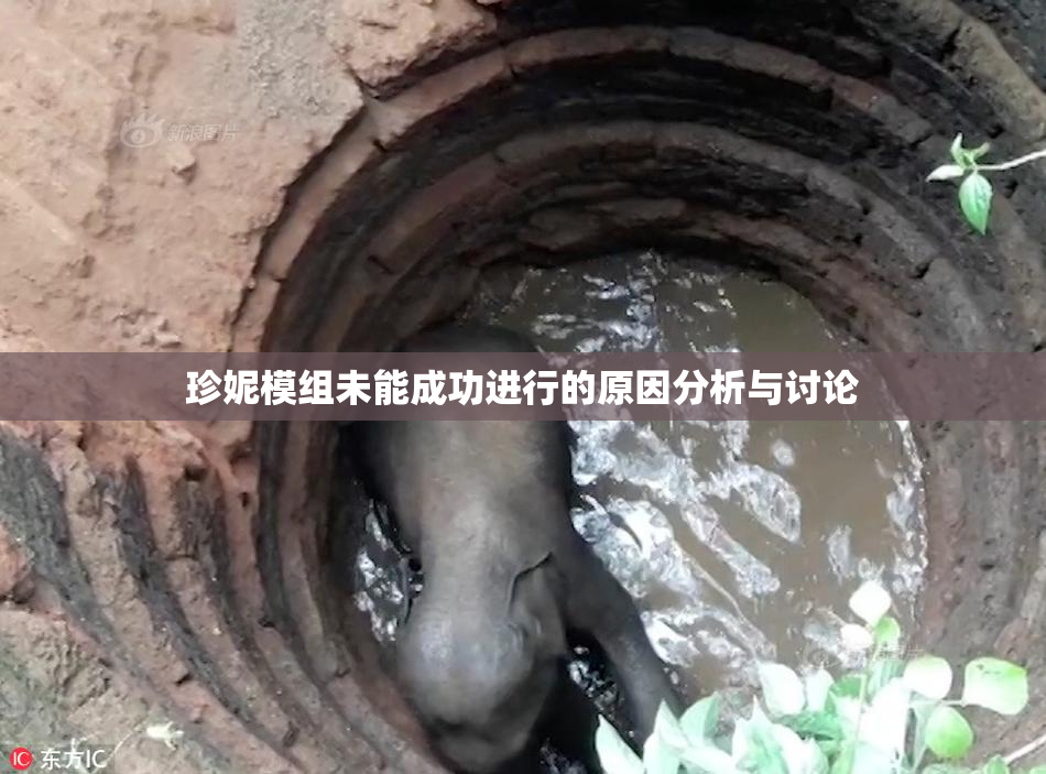 珍妮模组未能成功进行的原因分析与讨论