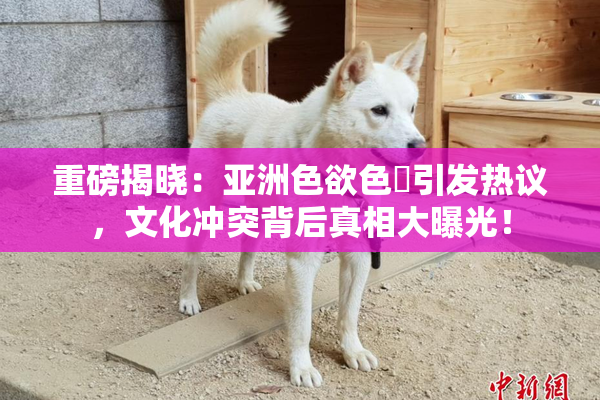 重磅揭晓：亚洲色欲色欱引发热议，文化冲突背后真相大曝光！
