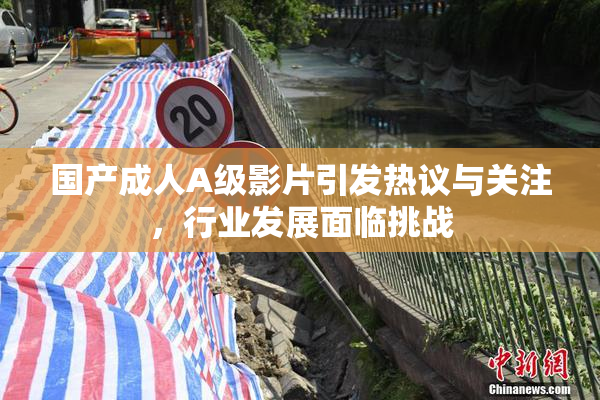 国产成人A级影片引发热议与关注，行业发展面临挑战
